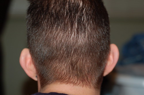 back of head haircuts