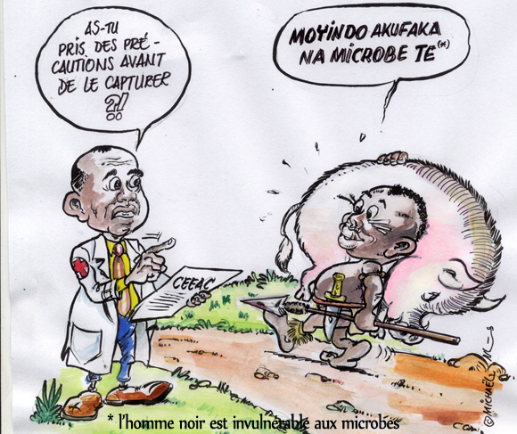 Le Congo prêt à affronter la grippe porcine ?