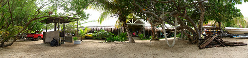 Aragorn's Studio beachside garden, Trellis Bay, The British Virgin Islands