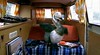 Primeval - Dodo the aerobic birdie