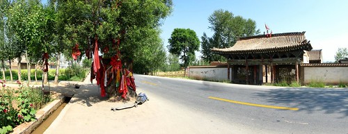 Old tree preserved in the middle of the road on China National Highway 109 east of Xining, Qinghai Province, China