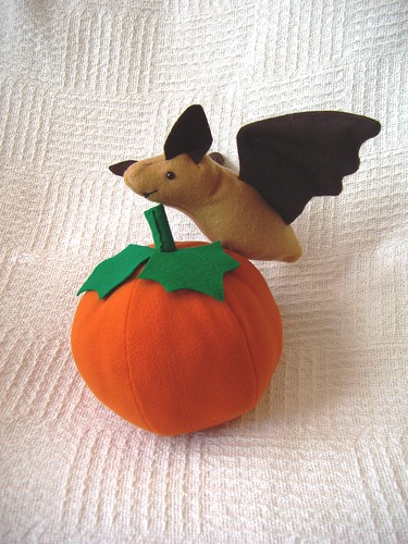Fruit Bat and Pumpkin