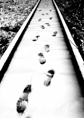 Footprints in snow.Prairie Creek.1.28.08