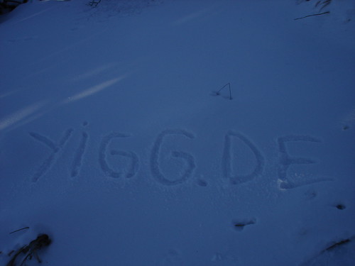 YiGG im Schnee