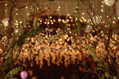 Posted at December 21 2010 Wedding Decorations Ideas Wedding Arches