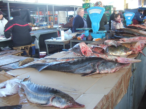 Fish at Privoz Market, Odessa