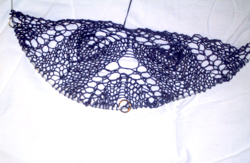 blue silk cobweb shawl 031708