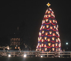 National Christmas Tree in front of White House