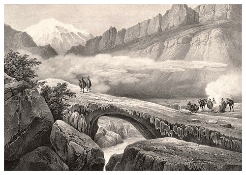007-Puente del Inca entre Santiago y Mensoza- Andes chilenos-Journal de la navigation autour du globe… 1837-Barón de Bouganville-fuente BOTANICUS