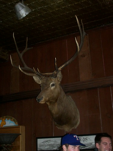 Deer head at the JH Playhouse