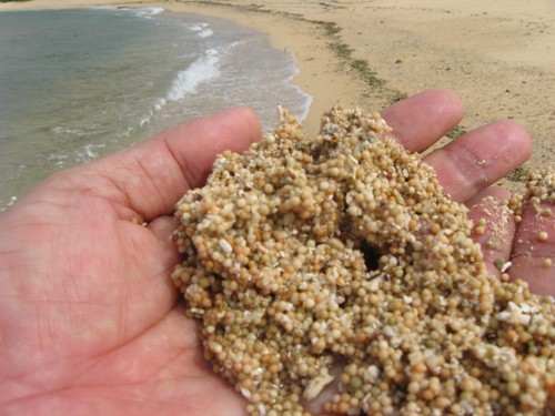 granular beachsands