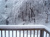 snow back deck