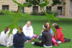 Leaves and small group theology discussion