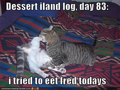 funny-pictures-cat-tries-to-eat-fred-cat