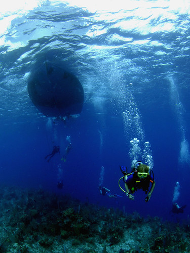 Galapagos Islands Diving Tours