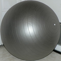 My mom's exercise ball