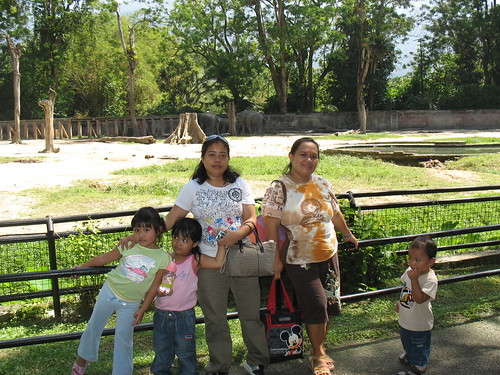 We at the Taiping Zoo