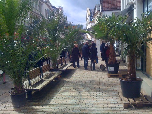 Palmenoase auf dem Bielefelder Altstadtfest