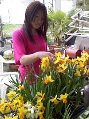 Alex with Daffodils