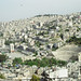Bild zu Roman Amman