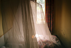 Malaria room
