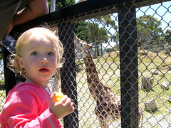 20080101f Wellington Zoo