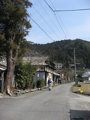 Shikoku pilgrim