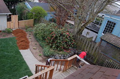 Backyard landscaping underway!