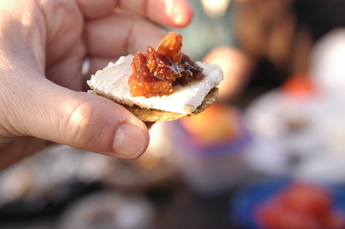 fig and ginger chutney on cheese
