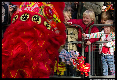 dragons. parade. puppets. - Colour
