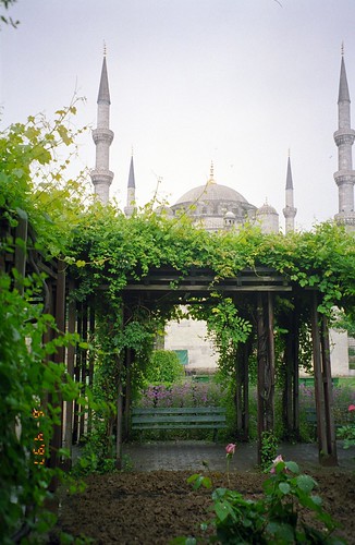 Blue Mosque Through the Trellis ©  upyernoz