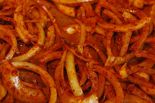 boeuf stroganoff - onions and paprika