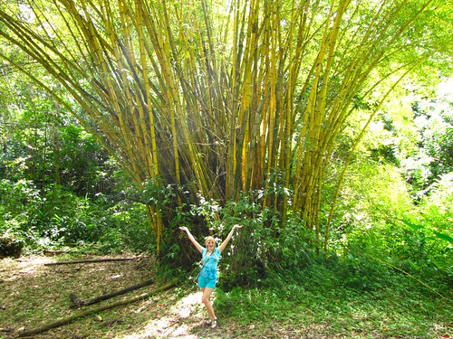 liz showing off the beautiful bamboo