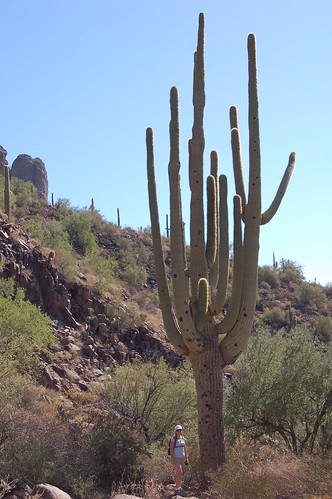 Erin and a Giant Saguaro Cactus