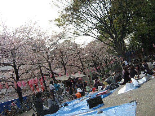 People picnicking at Edogawa Park