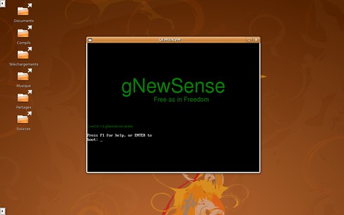écran de démarrage de gNewSense
