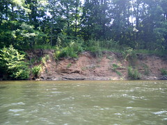 Saluda River Paddle-22