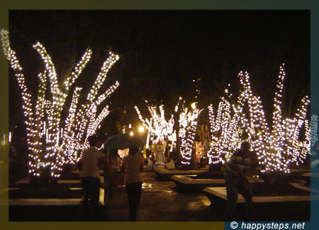 Christmas lights encircled around trees at the Silay plaza