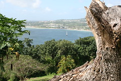 View from Fort King George