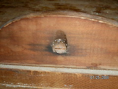Bed Bugs On Wood Furniture Bed bug eggs on the screw of