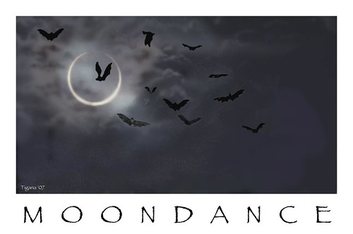 moondance 2000 fr lett