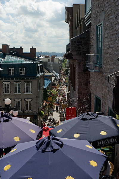 Quebec City Umbrellas