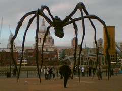 spiders invade london