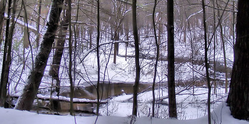 The Creek in Winter