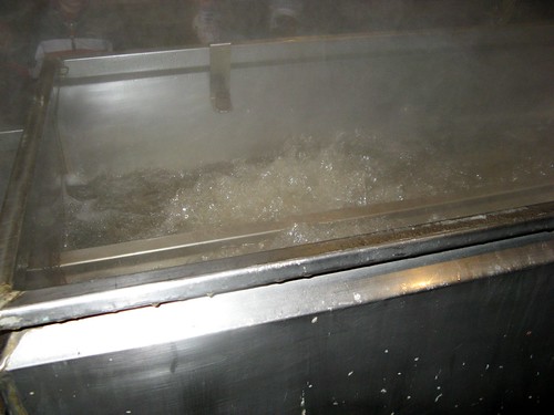 boiling sap