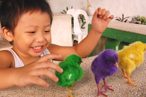 boy technicolor chicks Pinoy Filipino Pilipino Buhay  people pictures photos life Philippinen  菲律宾  菲律賓  필리핀(공화국) Philippines    