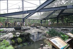 新竹市立動物園18