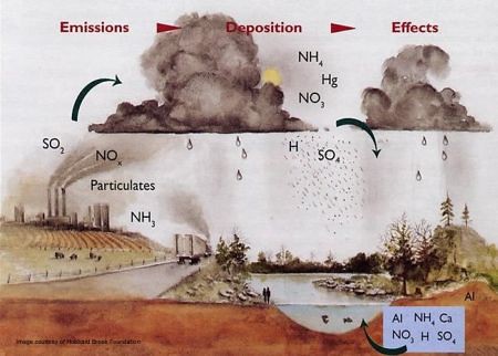 simple water cycle. Discuss the water cycle from