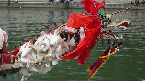 Dragon Boat Race - Sister's Rice Festival - Guizhou, China