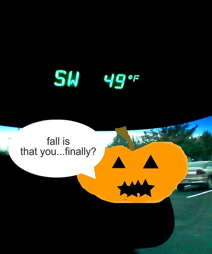 fall?